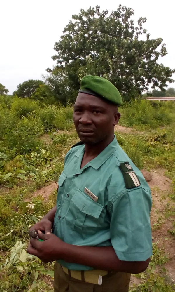 Le cantonnement des Eaux et Forêts de Kani entretient des parcelles reboisées – Actualité ivoirienne 27/05/2020