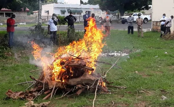 Côte d’Ivoire : 125 Kg de gibier saisis et incinérés à Niakara