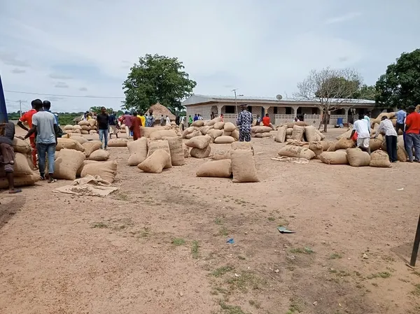 Une vente groupée d’anacarde organisée à Séguéla – Actualité ivoirienne 30/05/2020