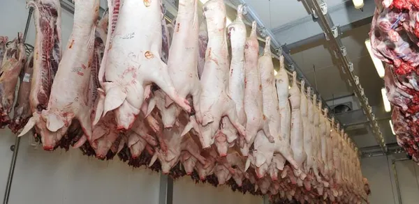 Chine : les prix du porc en baisse de 2,9% en août