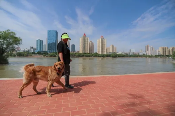 (COVID-19) La partie continentale de la Chine signale onze nouveaux cas importés – Actualités 17/06/2020