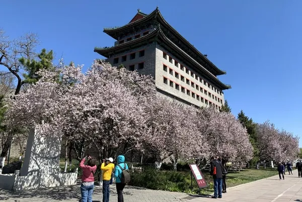 Les grands parcs de Beijing limitent de nouveau le nombre de visiteurs – Actualités 17/06/2020