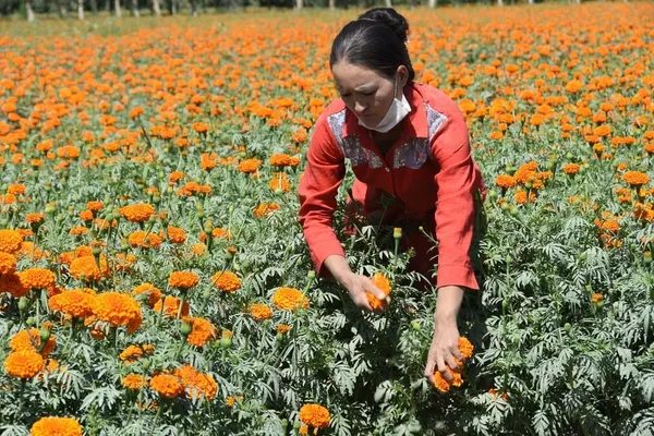 Le projet de loi américain sur le Xinjiang constitue une ingérence dans les affaires intérieures chinoises (expert afghan) – Actualités 22/06/2020