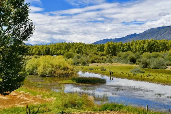 Le Tibet réhabilite 124.000 hectares de terres désertifiées – Actualités 24/06/2020