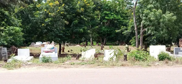 Le maire de Daoukro annonce la création d’un cimetière municipal – Actualité ivoirienne 01/06/2020