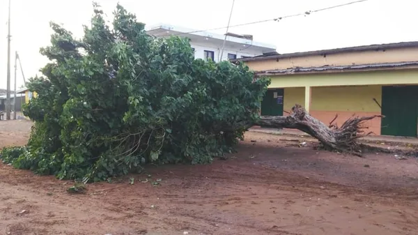 Une tornade fait des dégâts à Bouna – Actualité ivoirienne 06/06/2020