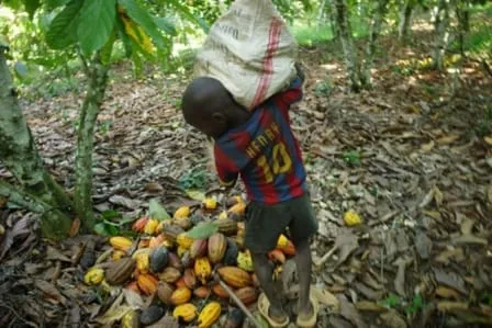 Lutte contre le travail des enfants : la Fondation ICI invite à ‘’tirer les leçons de l’impact, innover pour passer à l’échelle’’ (Rapport 2019) – Actualité ivoirienne 10/06/2020