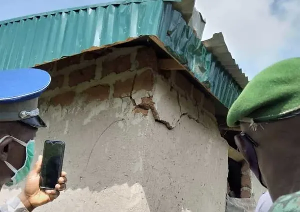 Un éléphant détruit des maisons et ravage des plantations à Issia  – Actualité ivoirienne 15/06/2020