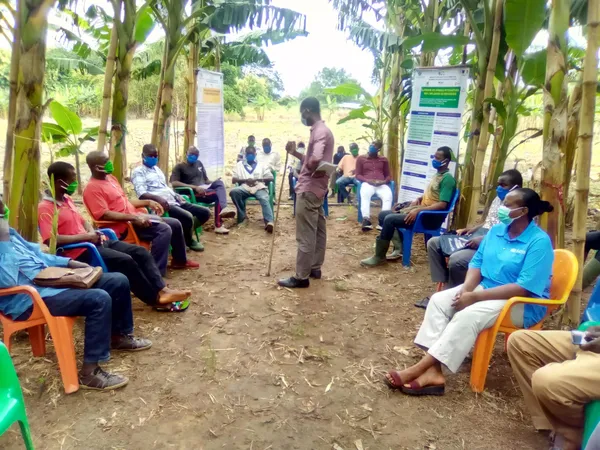FCIAD biopesticides banane : le projet pour les producteurs de banane voit le jour
