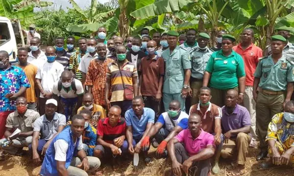 Une opération dénommée “Un jour, cinq millions d’arbres” lancée à Oumé – Actualité ivoirienne 17/06/2020