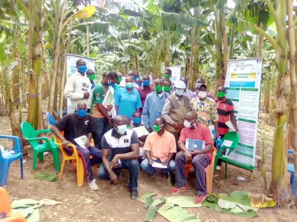 Des cultivateurs de banane plantain formés sur les maladies foliaires à Akoupé – Actualité ivoirienne 18/06/2020