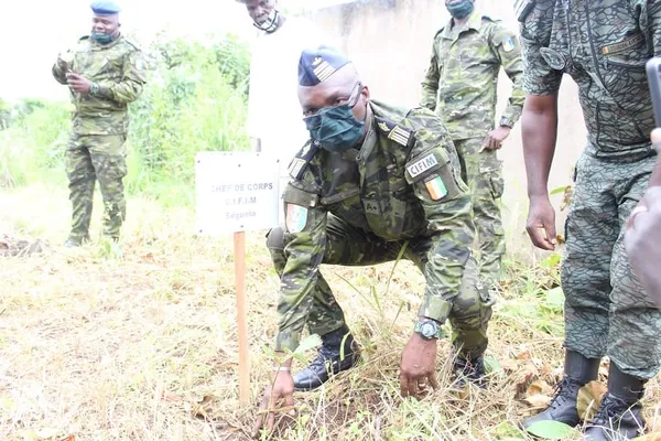 Le CIFIM de Séguéla doté d’une clôture verte – Actualité ivoirienne 27/06/2020