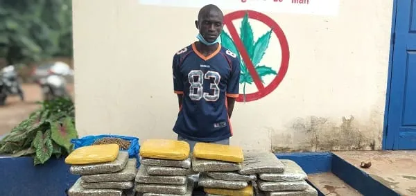 La police anti-drogue de Man met aux arrêts deux présumés dealers – Actualité ivoirienne 27/06/2020