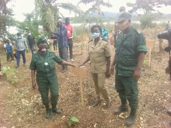 Des arbres plantés à Ehuikro – Actualité ivoirienne 28/06/2020