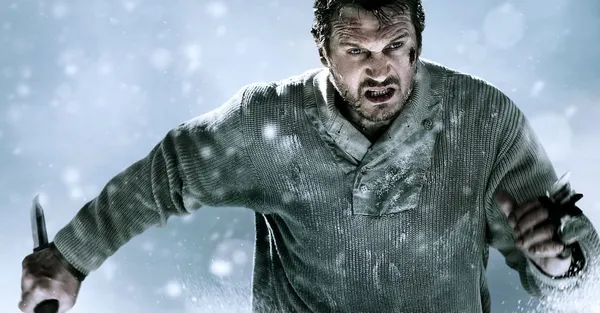 Film Le territoire des loups