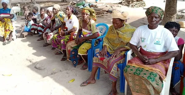 Des productrices de charbon s’engagent à changer d’activité – Actualité ivoirienne 01/07/2020