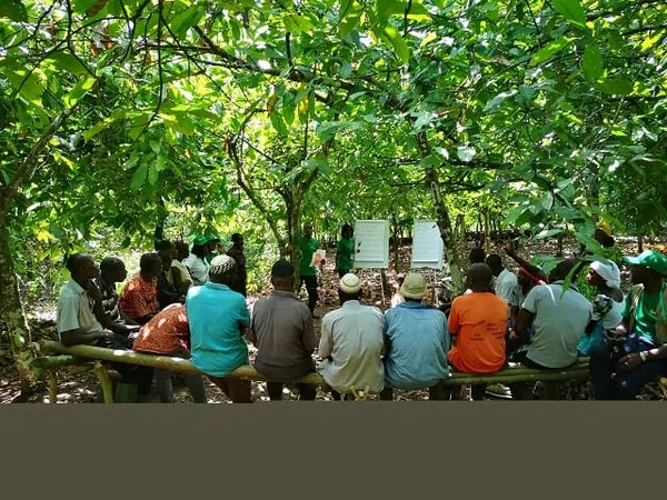 La SOCODEVI invite gouvernements et bailleurs de fonds à inclure les coopératives dans leurs stratégies de développement post-pandémique Covid-19 – Actualité ivoirienne 03/07/2020