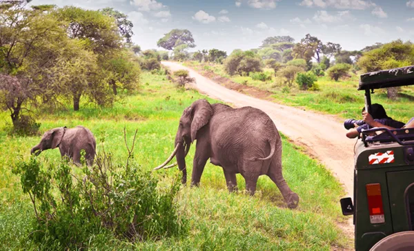 L’UA révèle que le coronavirus fait perdre au tourisme africain plus de 50 milliards de dollars en un trimestre – Actualité ivoirienne 04/07/2020