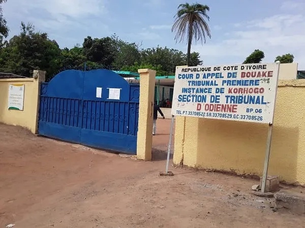 Une traque au phacochère vire au drame à Gbéléban – Actualité ivoirienne 24/07/2020