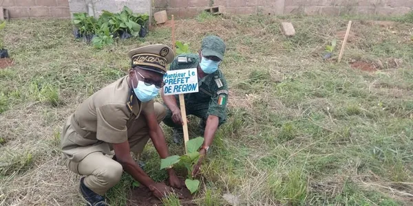 Journée nationale de planting d’arbres : La population de Bondoukou invitée à la préservation de la forêt – Actualité ivoirienne 25/07/2020