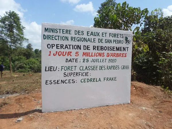 Dégradée à plus 90 %, la plus grande forêt classée de Côte d’Ivoire en reconstitution dans le département de San-Pedro   – Actualité ivoirienne 27/07/2020