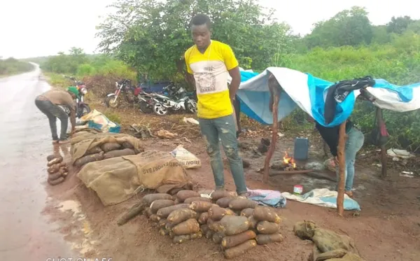 Des élèves de Niakara actifs dans la vente d’ignames en bordure des voies d’accès à Korhogo et à Tafiré – Actualité ivoirienne 29/07/2020
