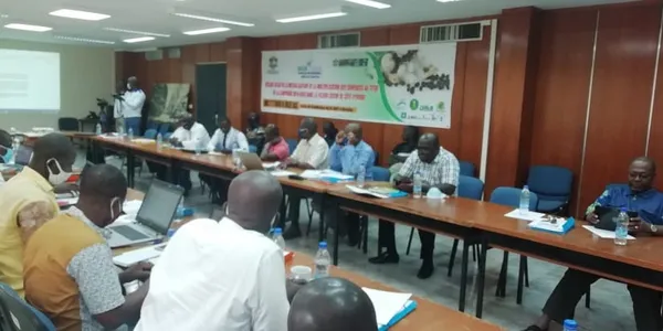 Bouaké abrite l’atelier bilan de la mutualisation de la multiplication des semences de coton au titre de la campagne 2019-2020 – Actualité ivoirienne 29/07/2020