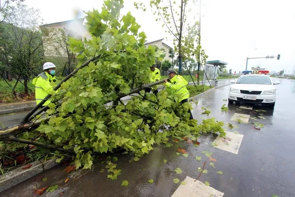 Le typhon Hagupit touche terre au Zhejiang – Actualités 05/08/2020