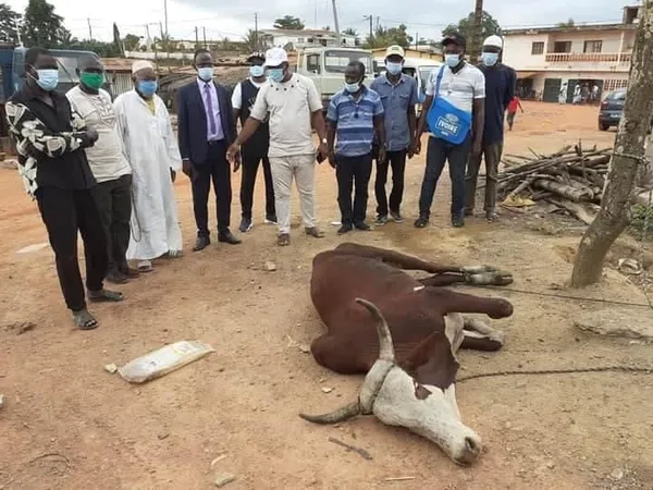 Tabaski: le maire d’Alépé solidaire de la communauté musulmane – Actualité ivoirienne 01/08/2020