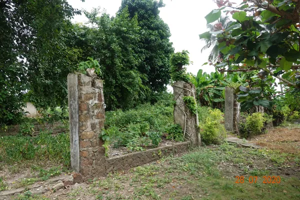 Retour sur les vestiges d’Elima, berceau de la Côte d’Ivoire moderne (Reportage) – Actualité ivoirienne 04/08/2020