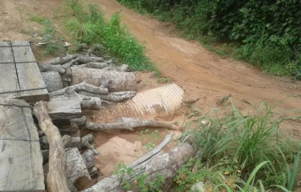 Plaidoyer pour l’ouverture d’une voie praticable entre Sominassé et Banvayo à Nassian – Actualité ivoirienne 10/08/2020