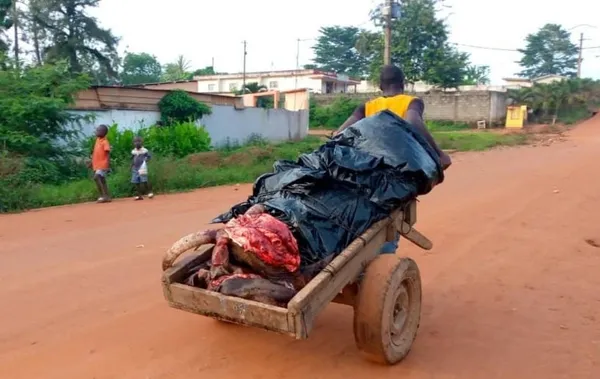 Alépé : l’abattoir municipal en mauvais état