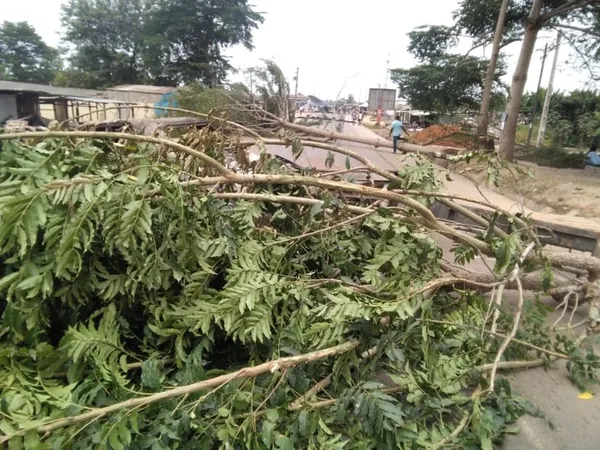 Manifestations de l’opposition : des barricades érigées à N’Douci