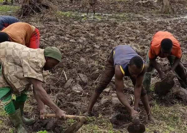 Oumé: La FENASCOVICI en soutien aux jeunes producteurs de maraîchers