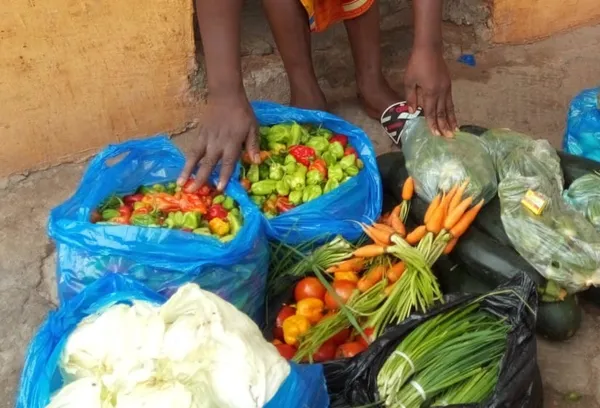 Ferkessédougou : l’abondance des vivriers sur le marché fait chuter les prix