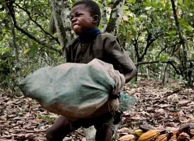 Lutte contre le travail des enfants: des communautés instruites à Oumé