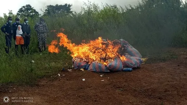 Bondoukou : 500 Kg de drogues et faux médicaments incinérés