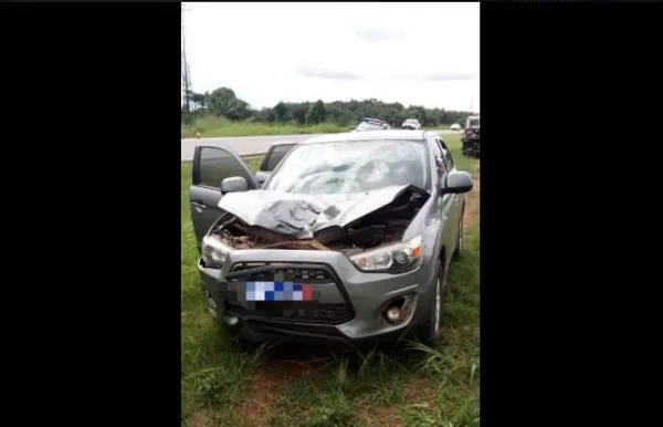 Accident sur l’autoroute du nord : un malade mental percuté par un véhicule