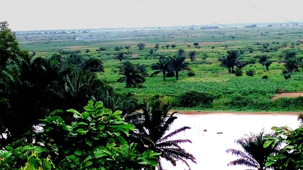 Bénin : l’UNESCO inscrit à son réseau la réserve de biosphère de la Basse vallée de l’Ouémé