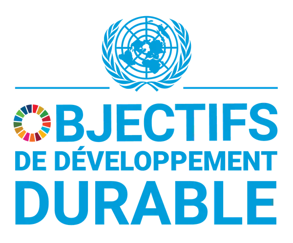 L’ONU lance un projet conjoint de financement des ODD au Ghana