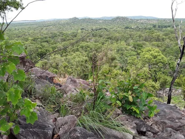 Le CNTIG contribue à relever le défi environnemental en Côte d’Ivoire – Actualité ivoirienne 14/10/2020