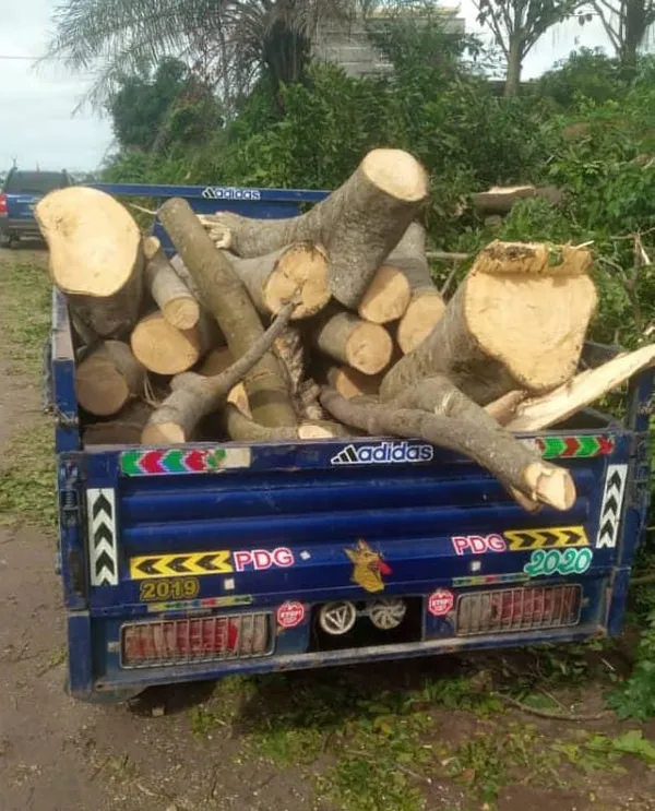 Désobéissance civile : les forces de sécurité débarrassent l’axe Songon-Dabou des troncs d’arbres