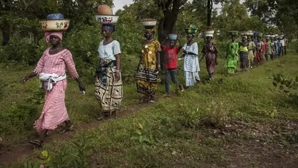 La BAD soutient la Guinée pour accroître la compétitivité dans la chaîne de valeur du miel – Actualité ivoirienne 16/10/2020