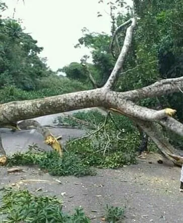 Accident à Arrah : un « gbaka » fait une sortie de route