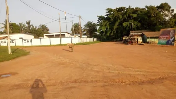 Violences à Taï : la ville toujours impactée par les tensions post-électorales