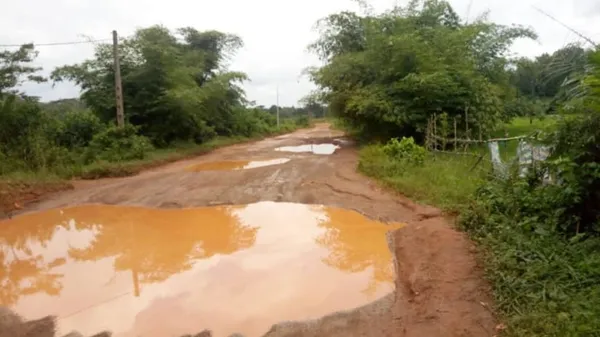 Route Taï-Guiglo : les populations souhaitent le bitumage