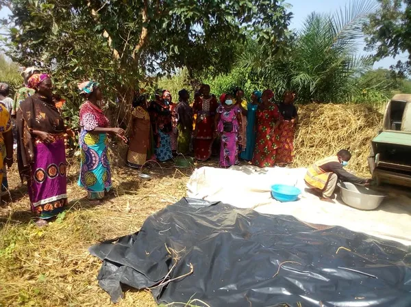 Coopératives agricoles à Séguéla : un moyen pour l’autonomisation des femmes de Bobi