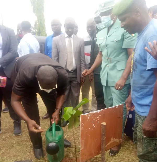 Lancement d’une opération de planting d’arbres à San Pedro