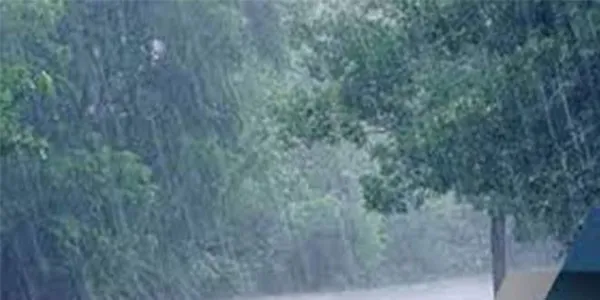 Alerte Météo : risques d’averses de pluie sur le Sud-forestier de la Côte d’Ivoire