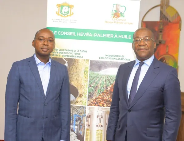 Le Conseil Hévéa – Palmier à huile élabore le cadre de suivi de la convention entre l’Etat et les industriels du caoutchouc – Actualité ivoirienne 25/11/2020